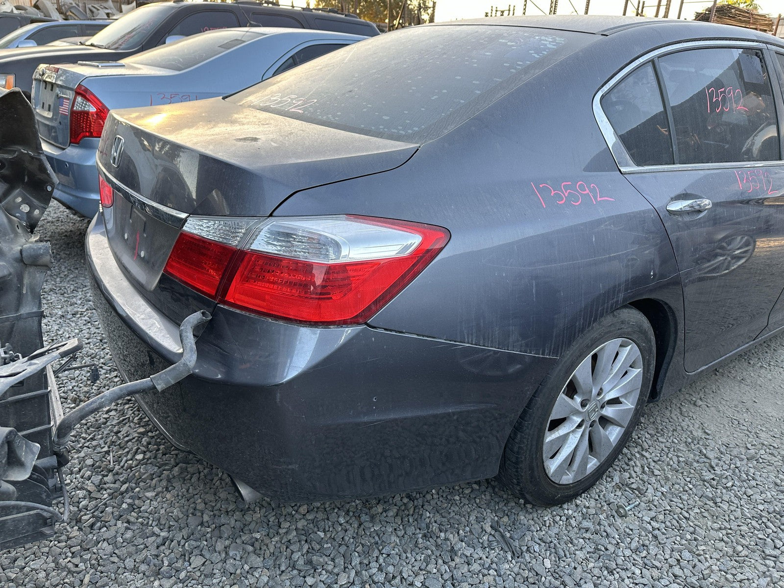 45887441