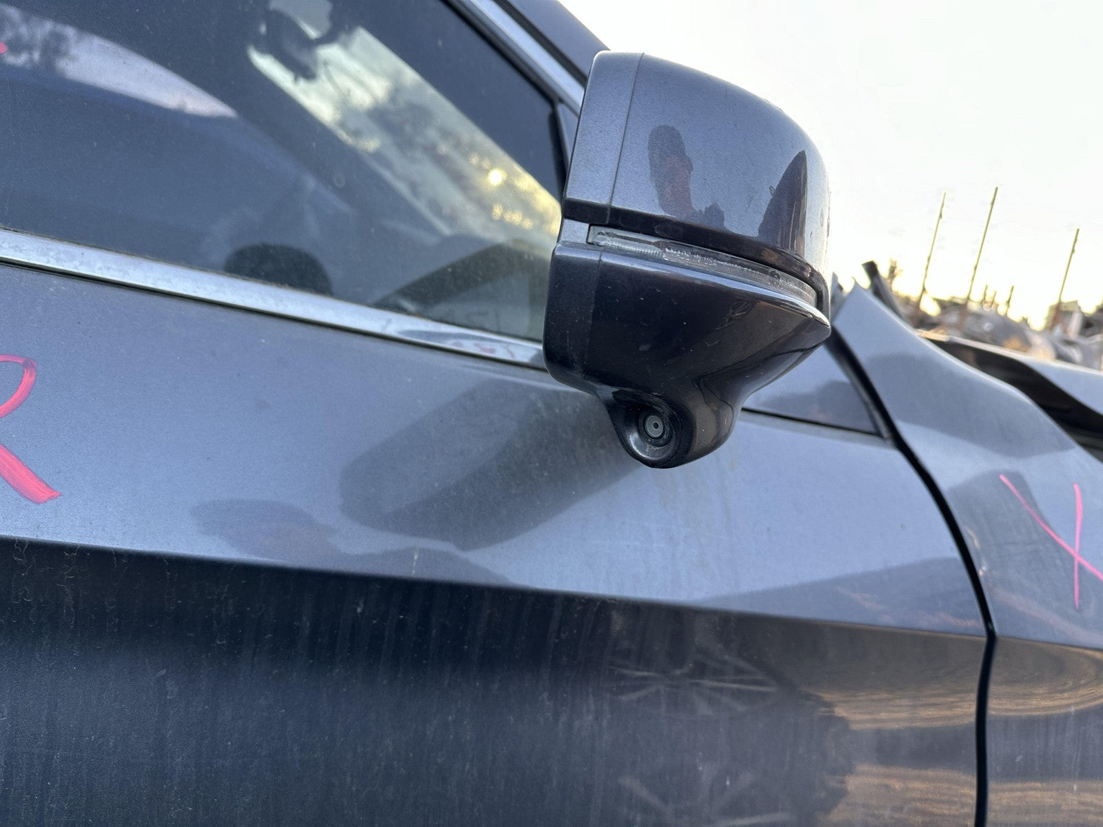 45887441