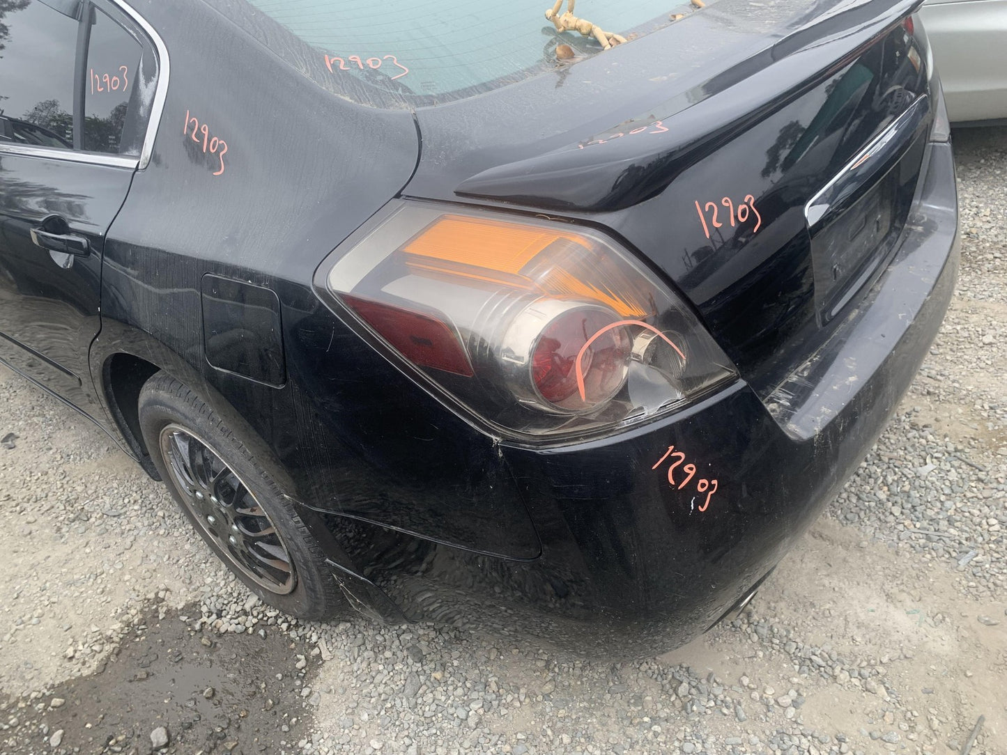 45888127