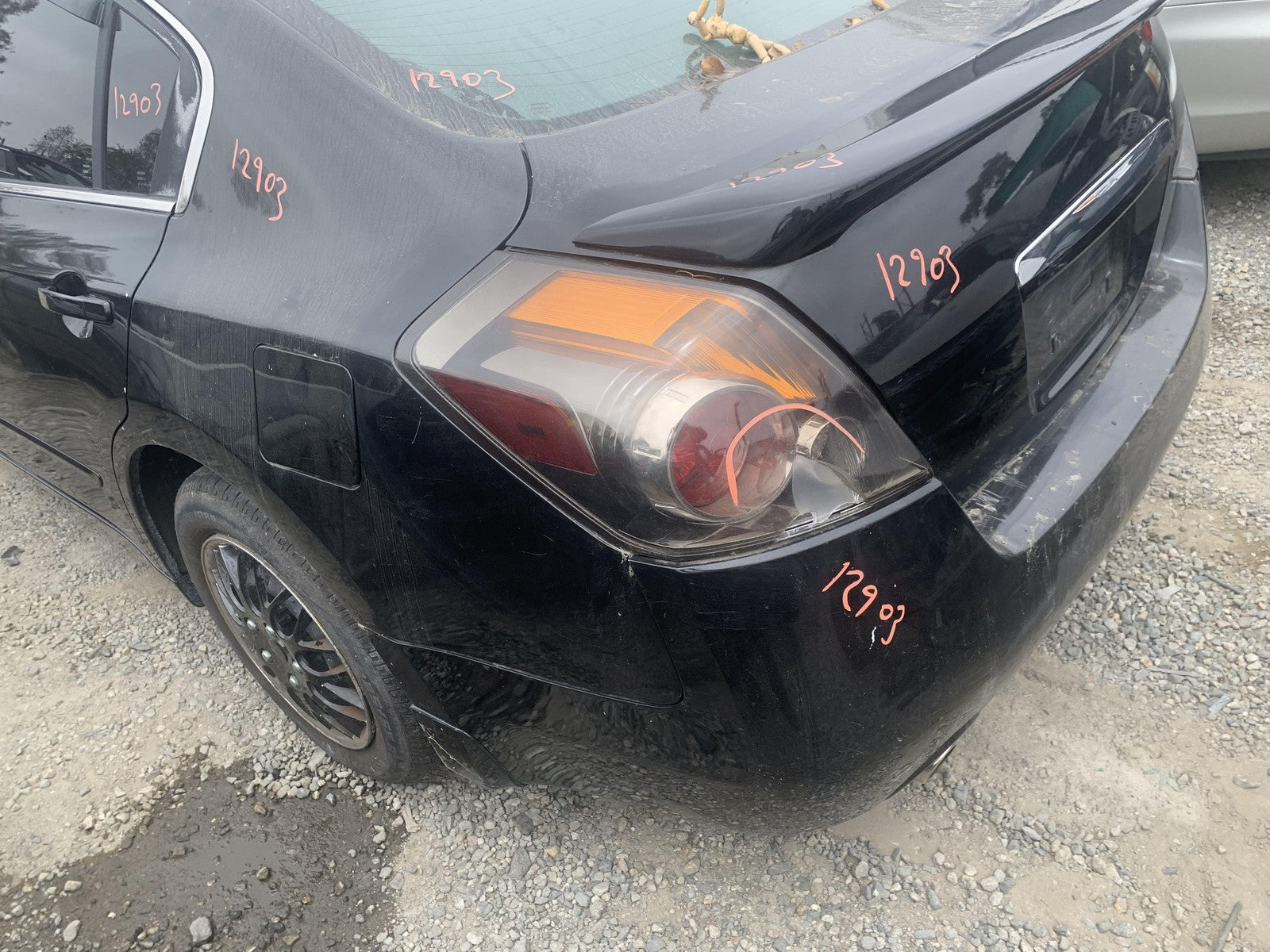 45888127