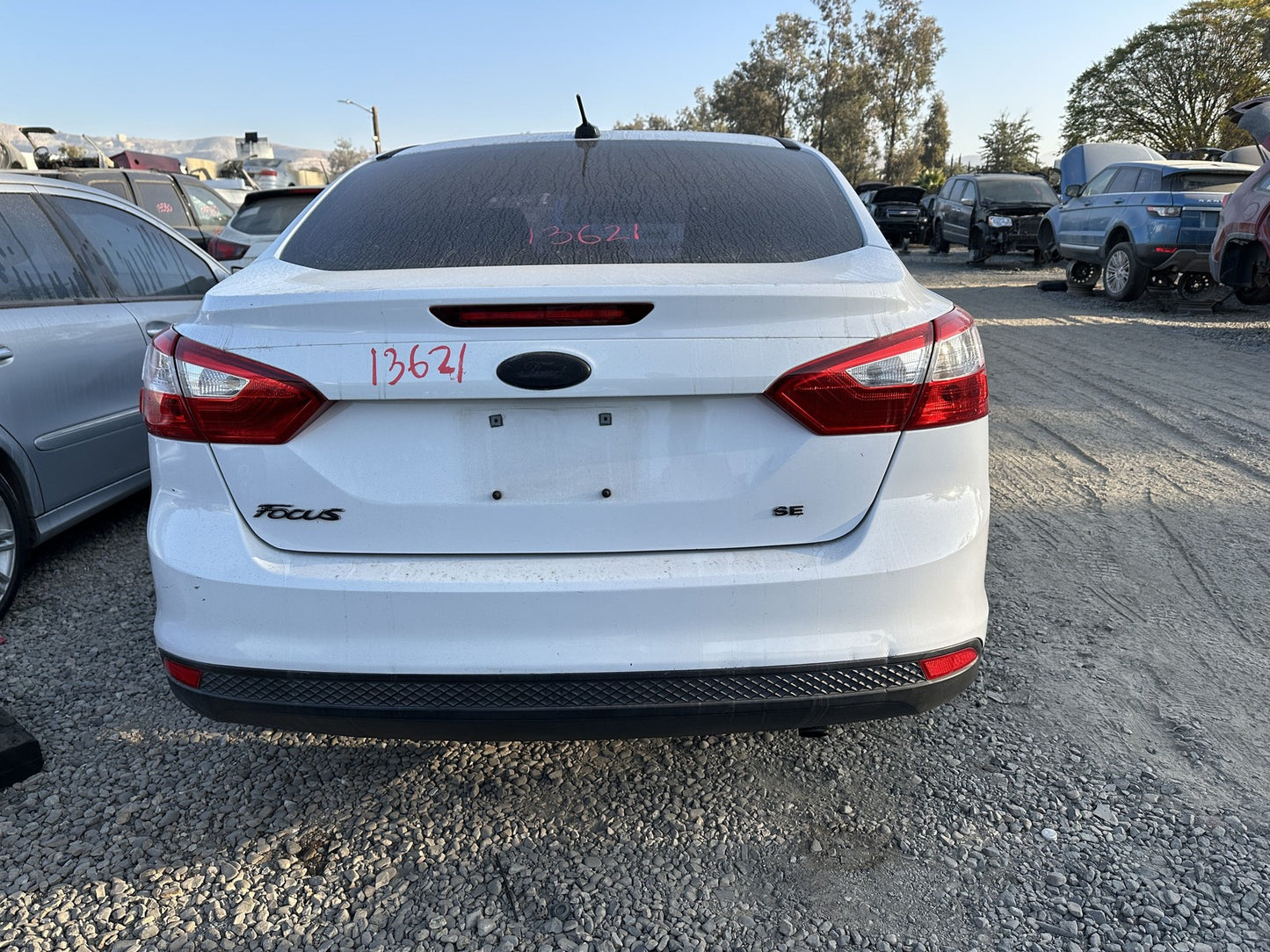 45887603