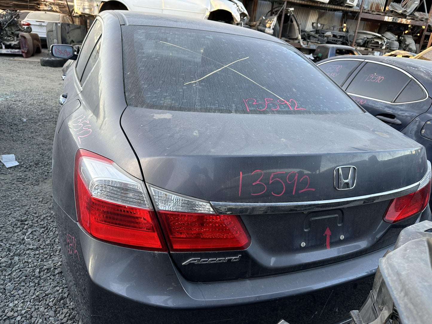 45887441