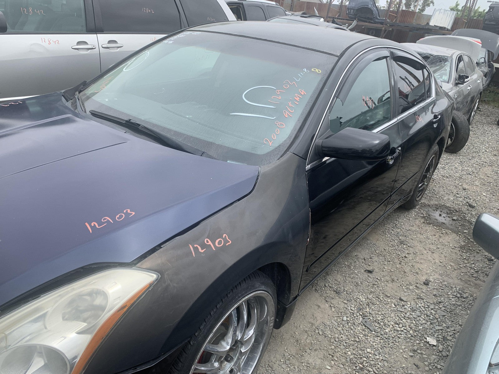 45888127