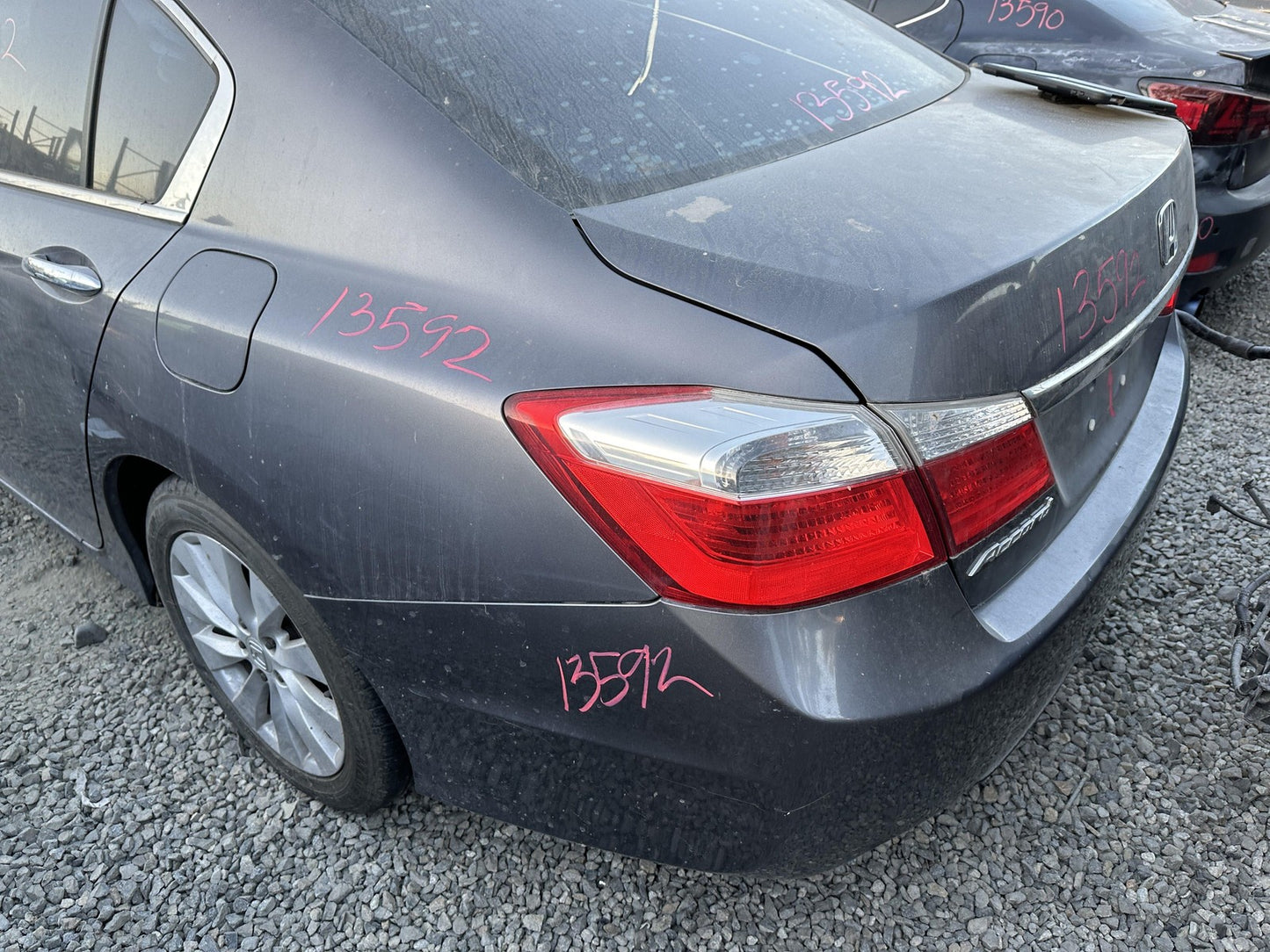 45887441