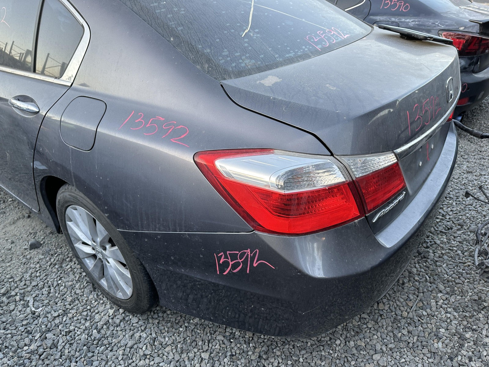 45887441