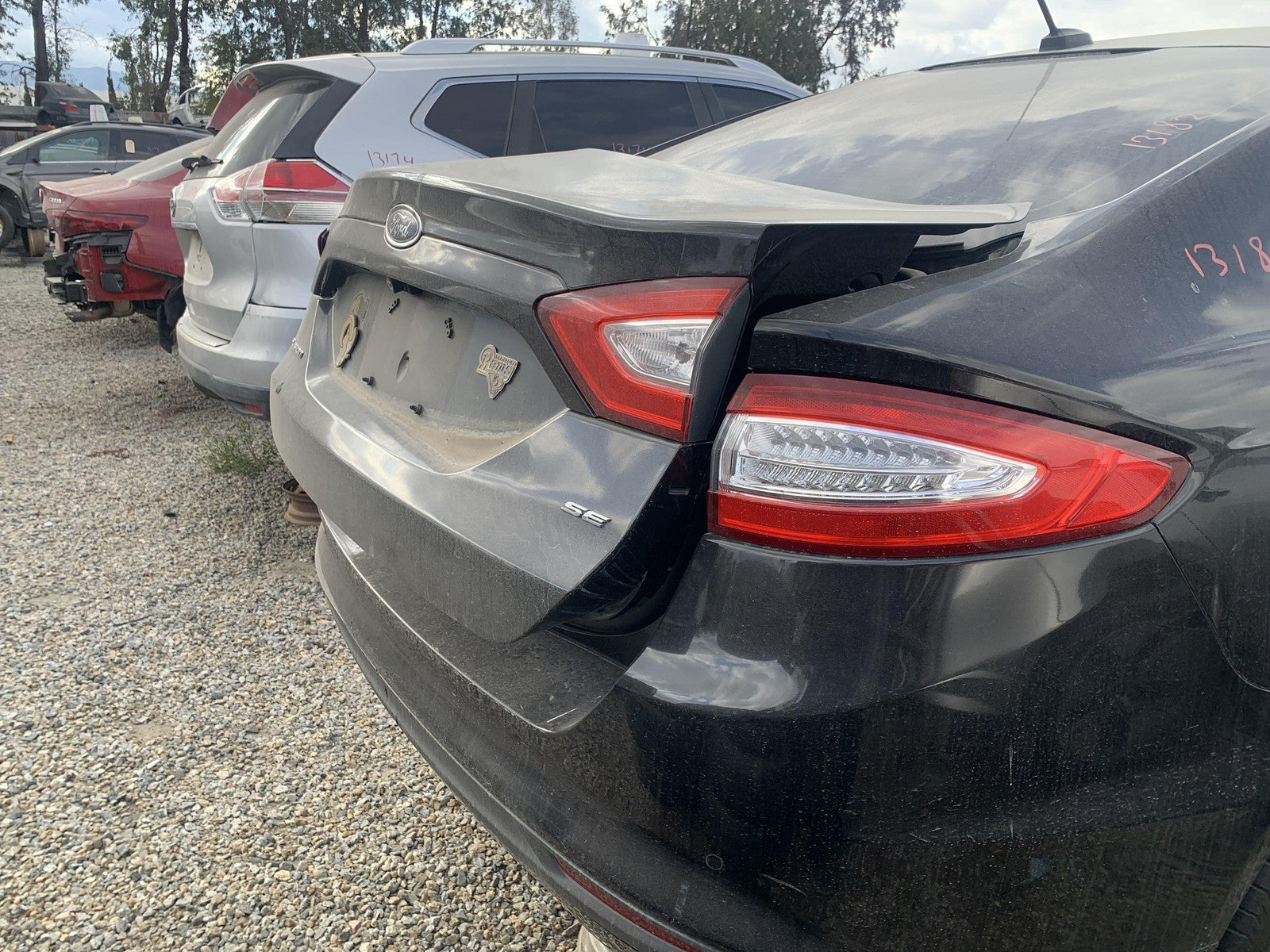 45887465