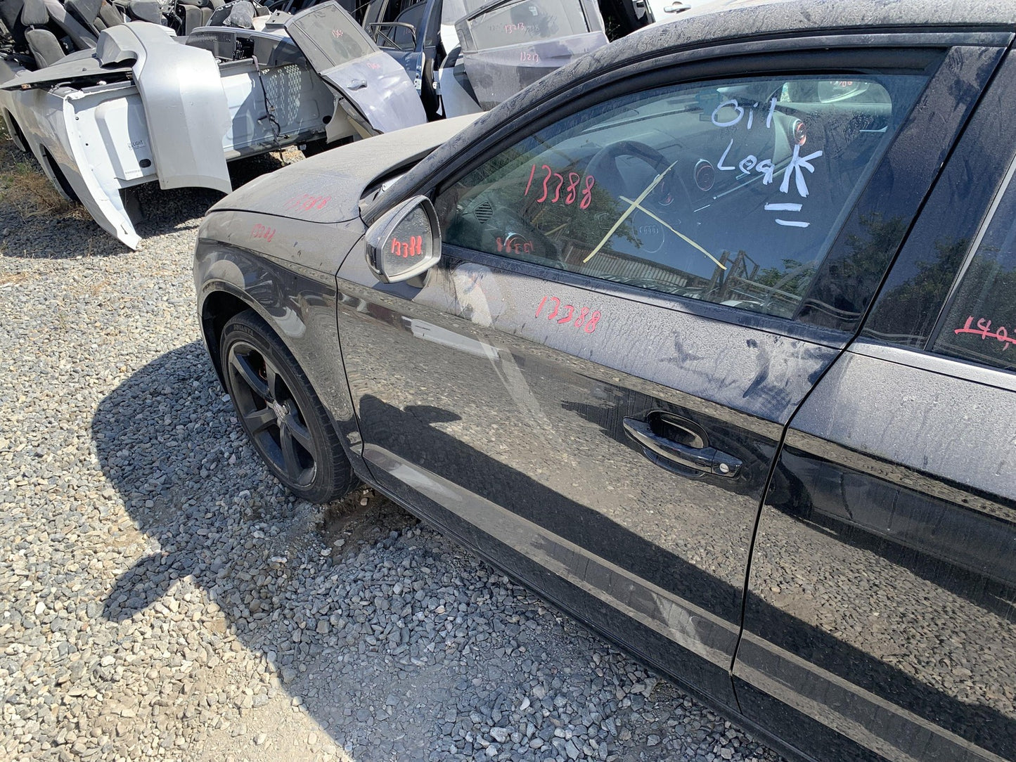 45888252