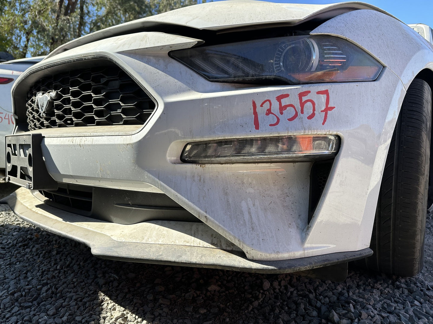 45888063