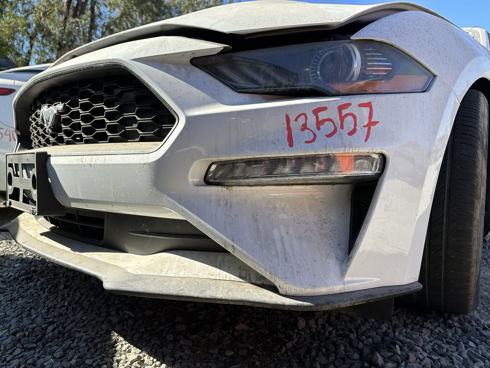 45888063