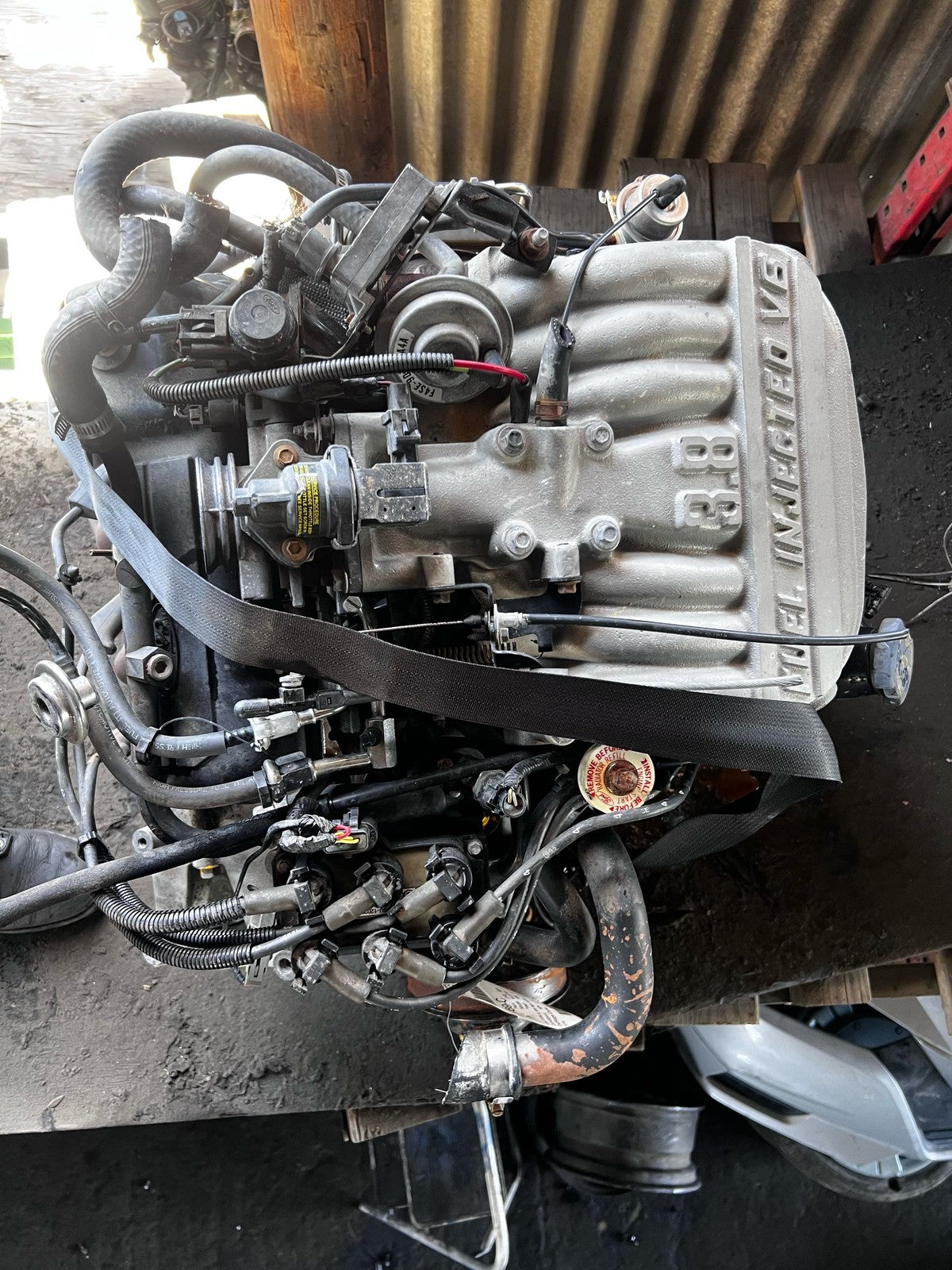 1995 Ford Mustang 3.8L V6 Engine Essex OHV VIN 4 SN95 145HP Fits 94-957