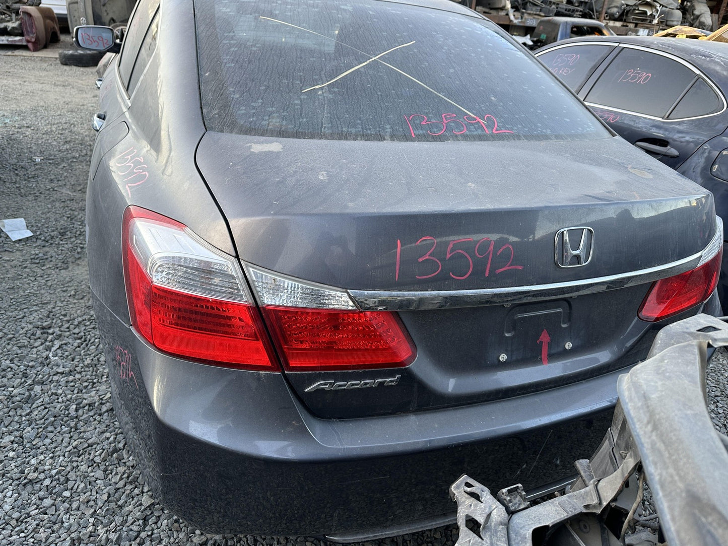 45887441