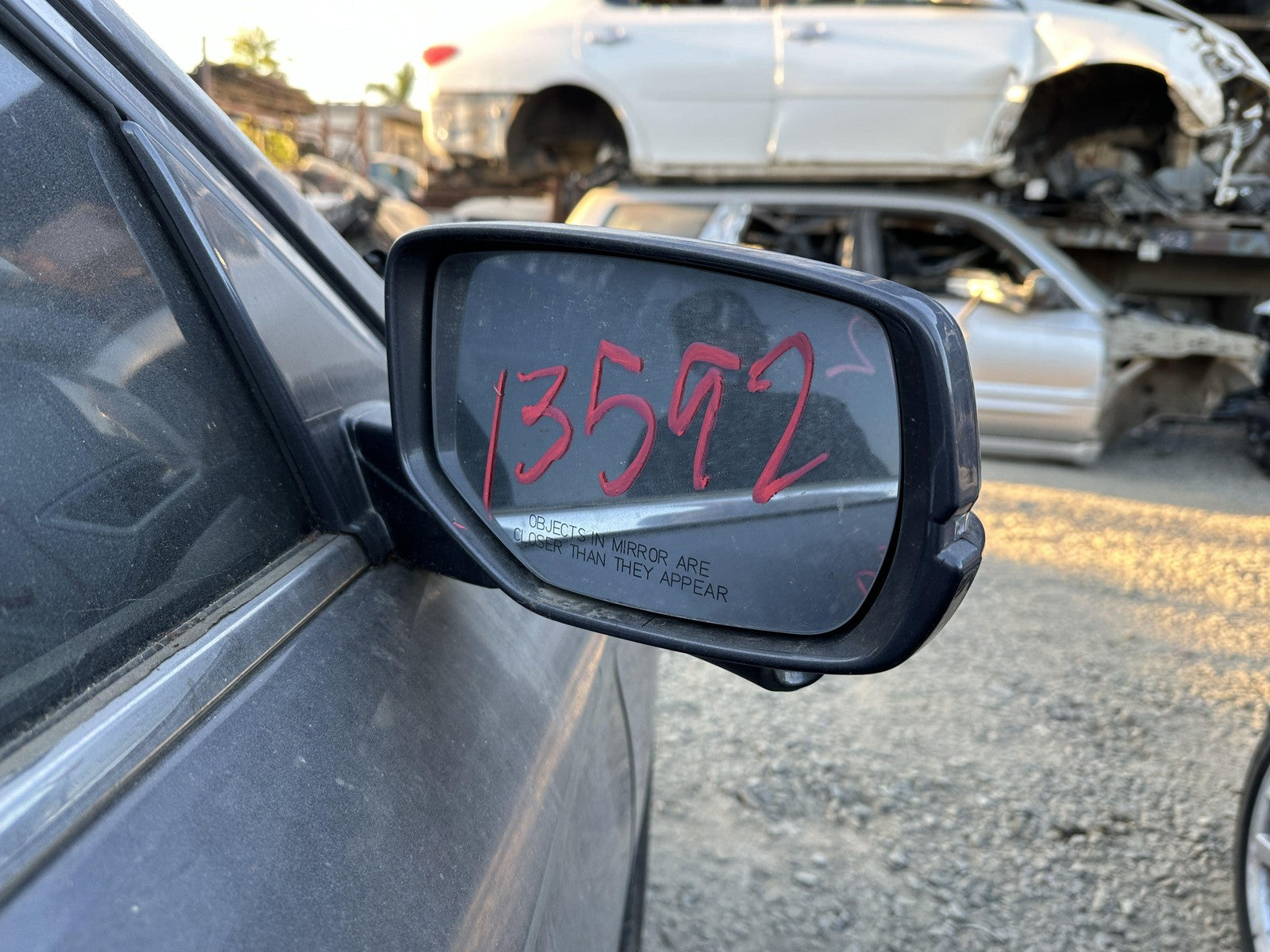 45887441